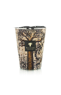 BAOBAB COLLECTIONSacred Trees Morondo Max 24A.K. Rikk's