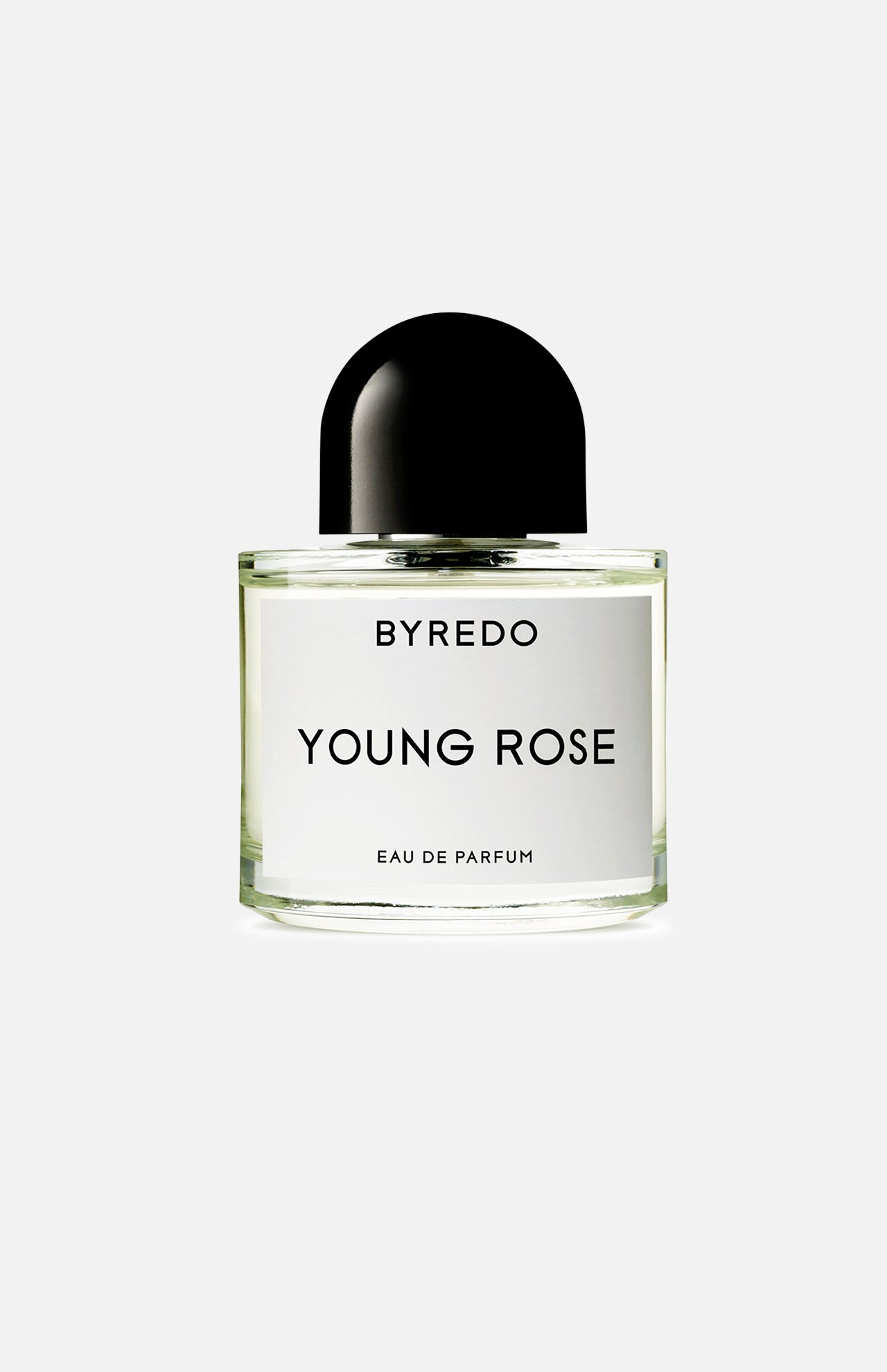 Young Rose (7109640224883)