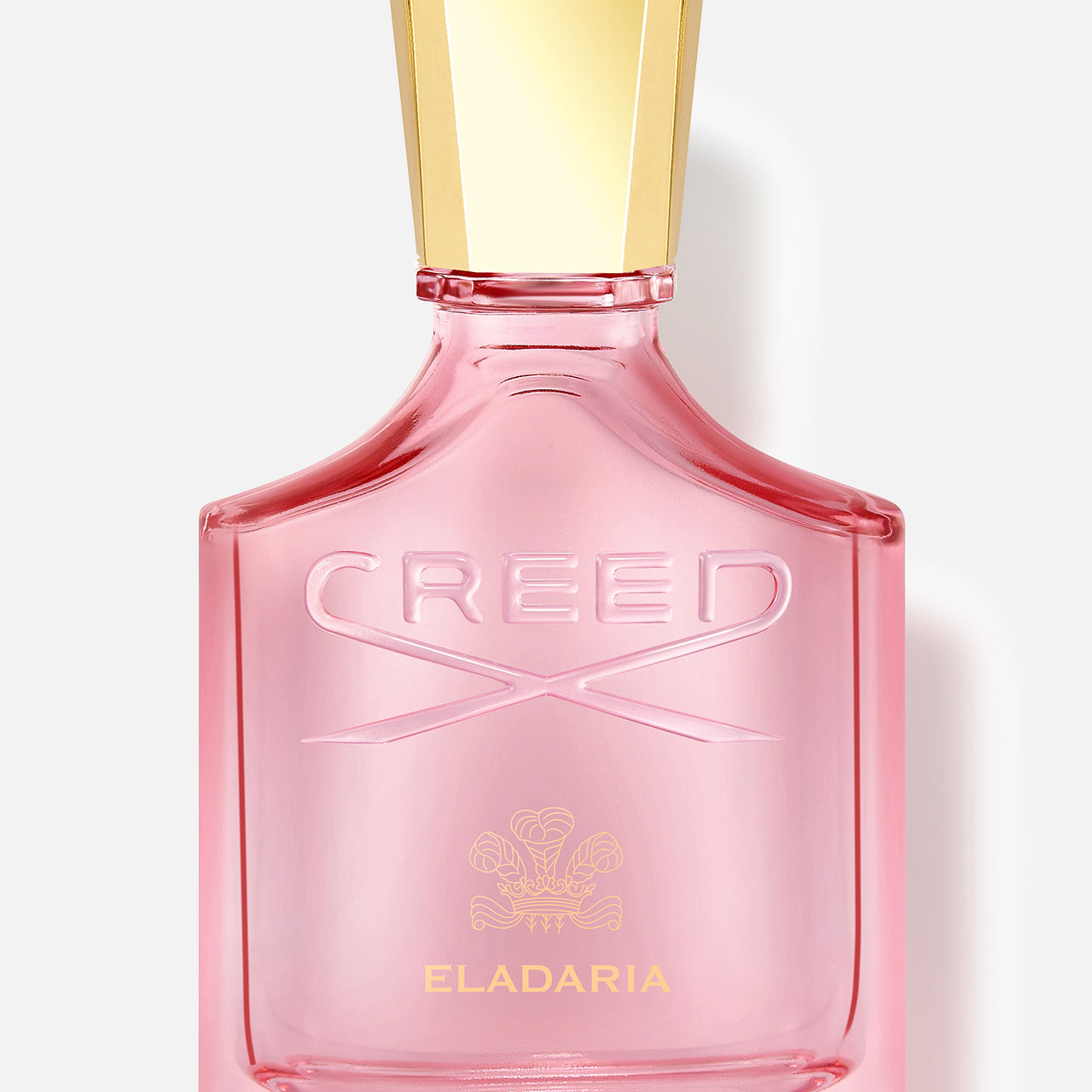 Eladaria (14698523951467)