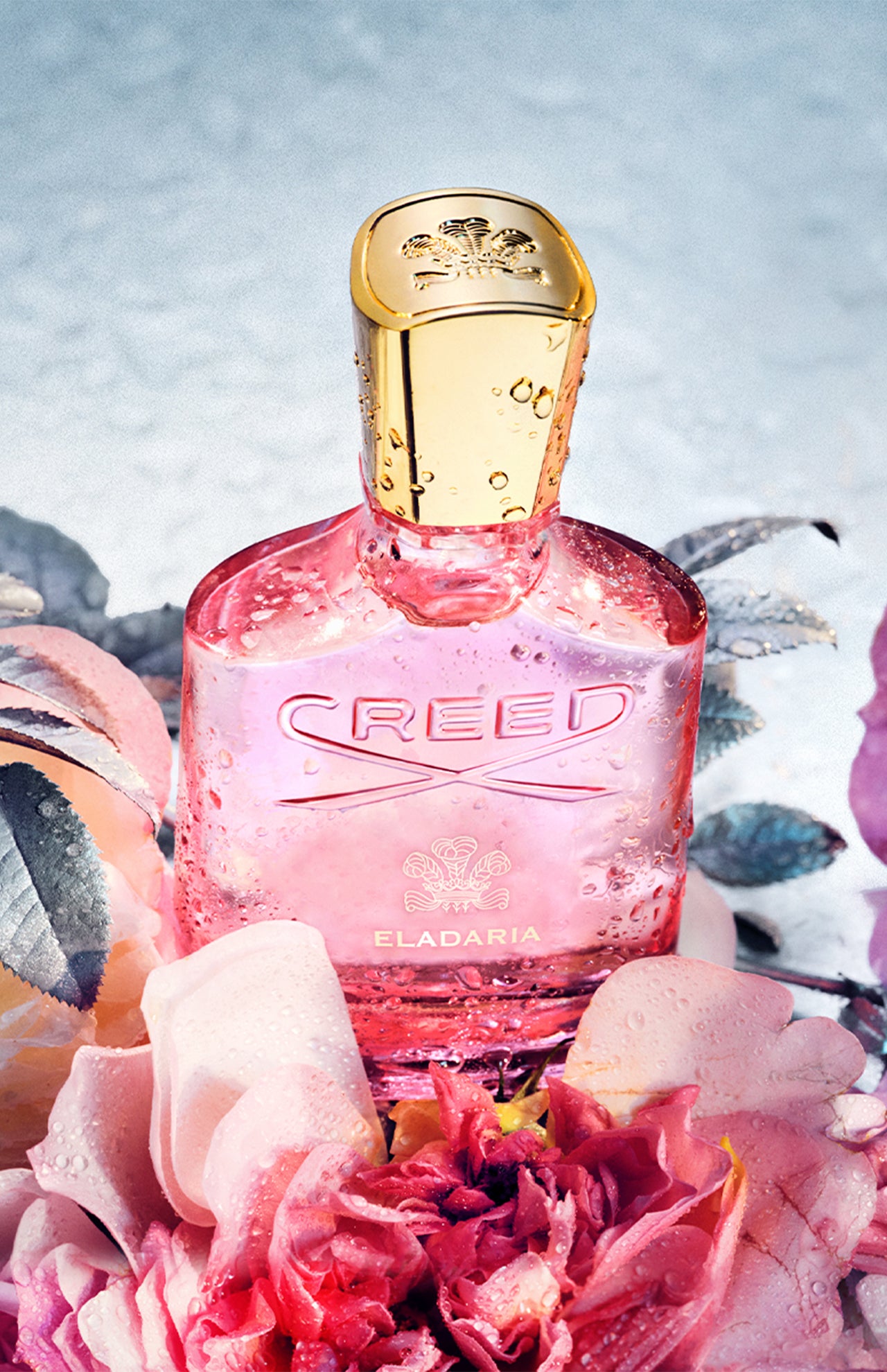 Eladaria (14698523951467)