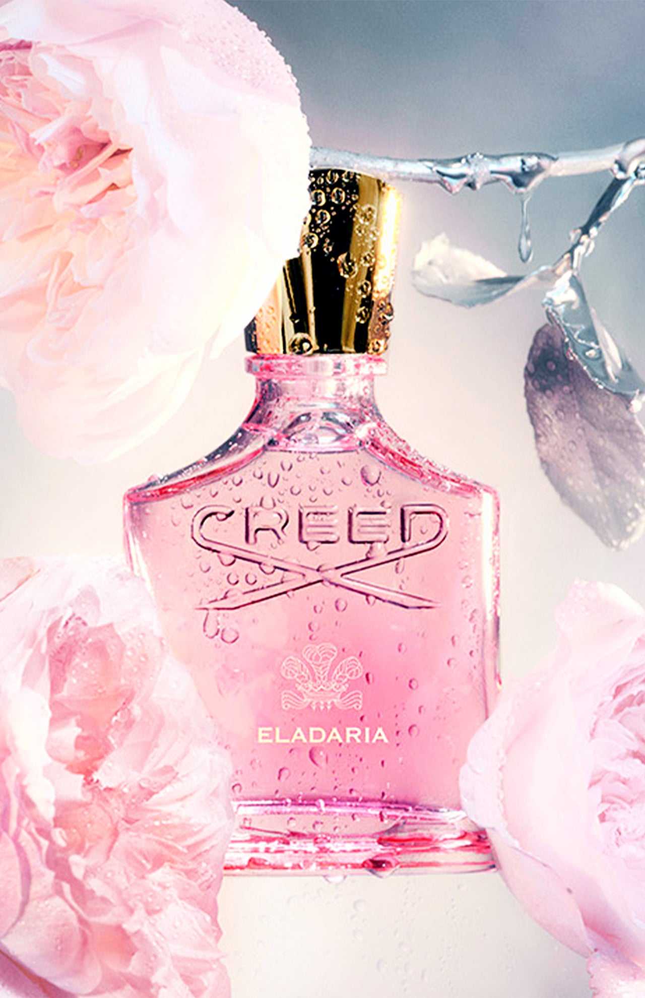 Eladaria (14698523951467)