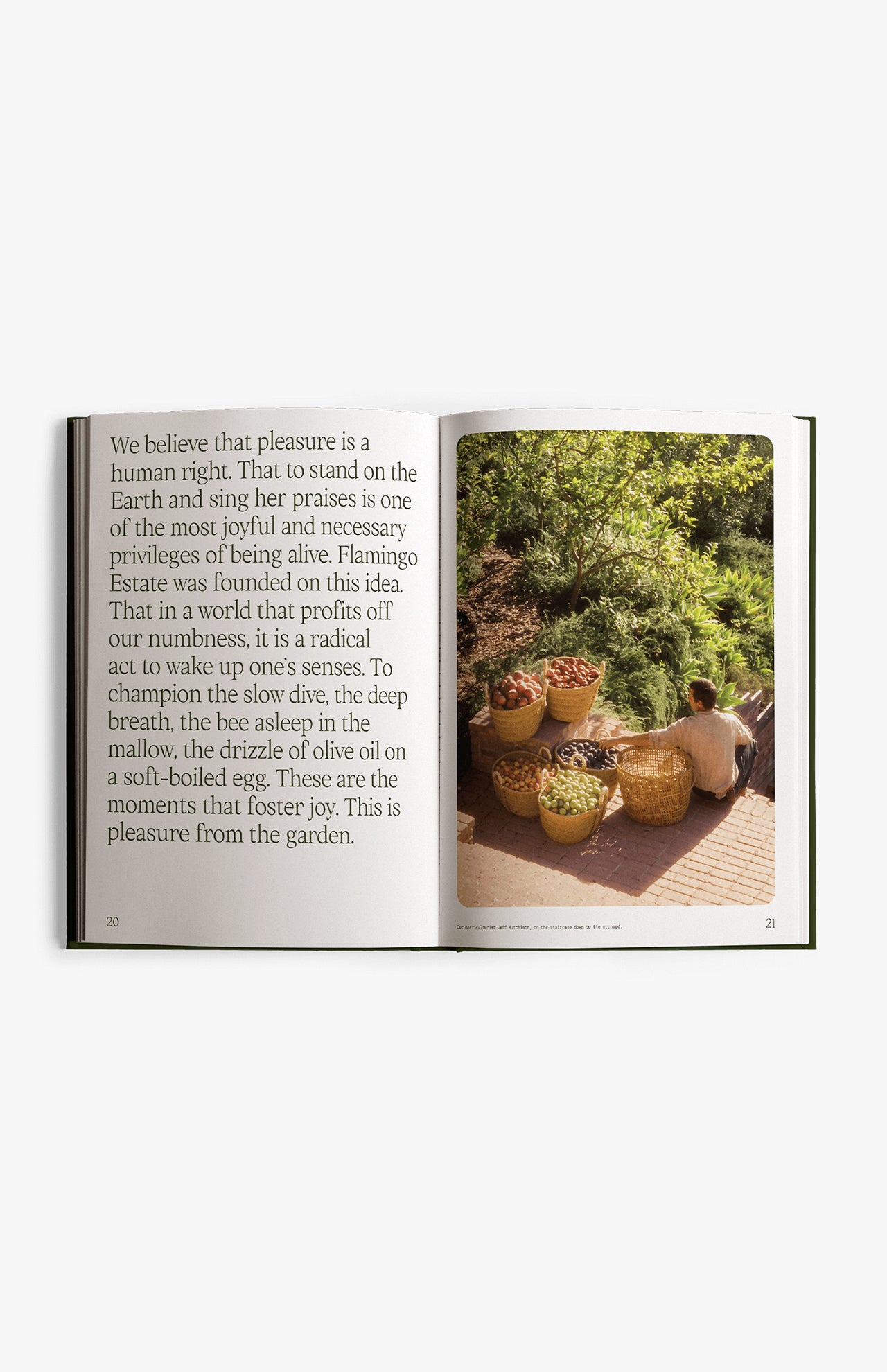 Fridays From the Garden Cookbook (14622005297515)