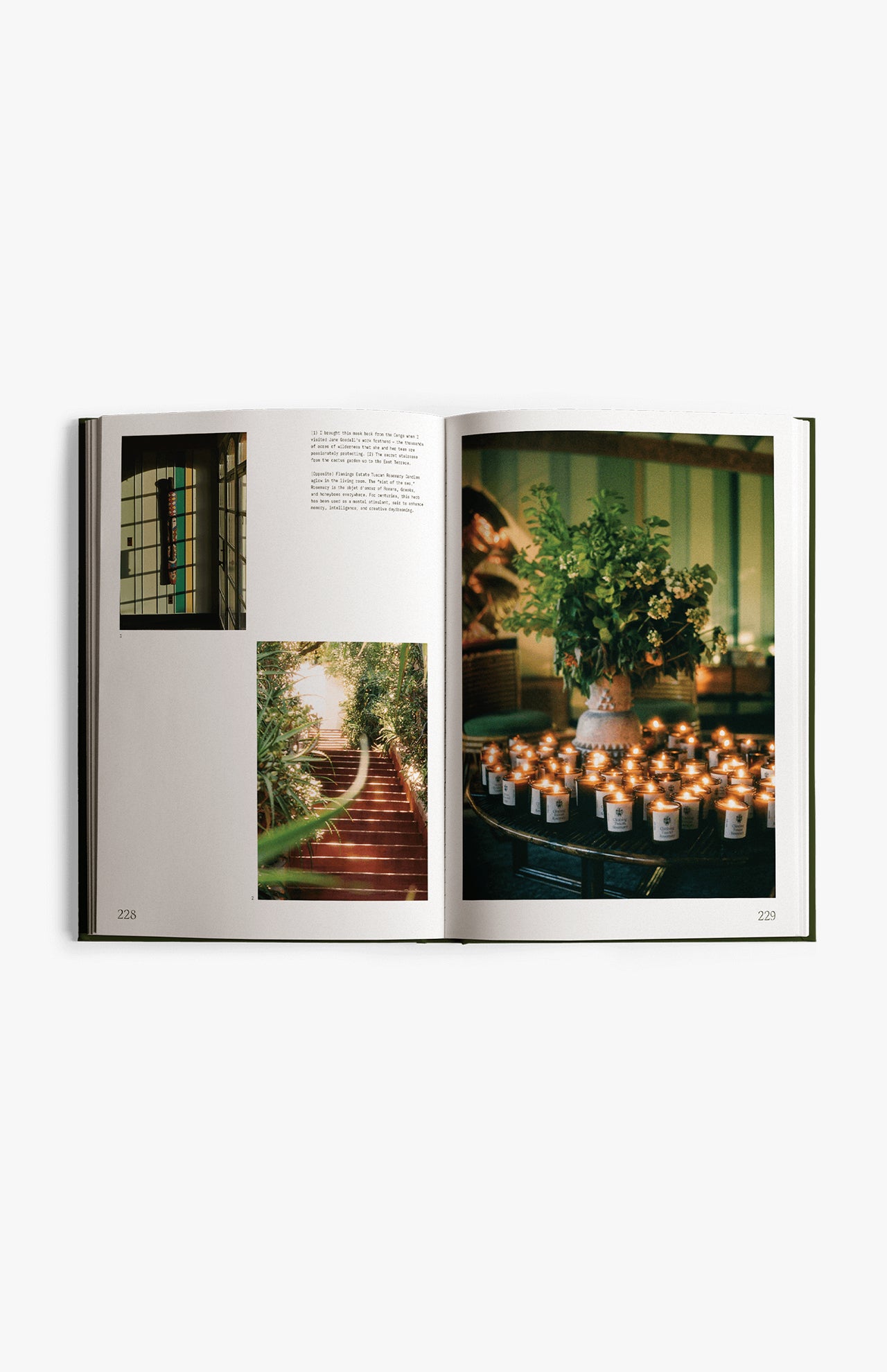 Fridays From the Garden Cookbook (14622005297515)