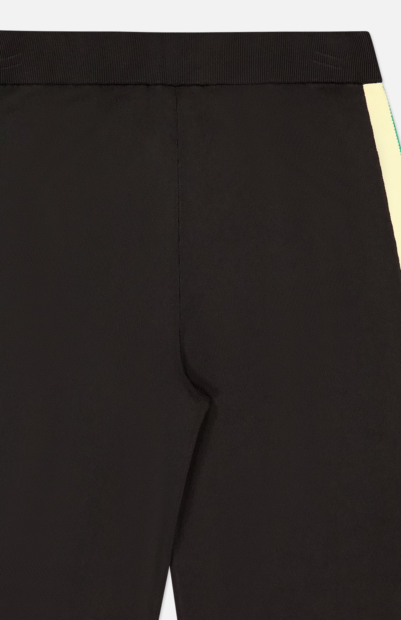 Fitted Pant (7446144122995)