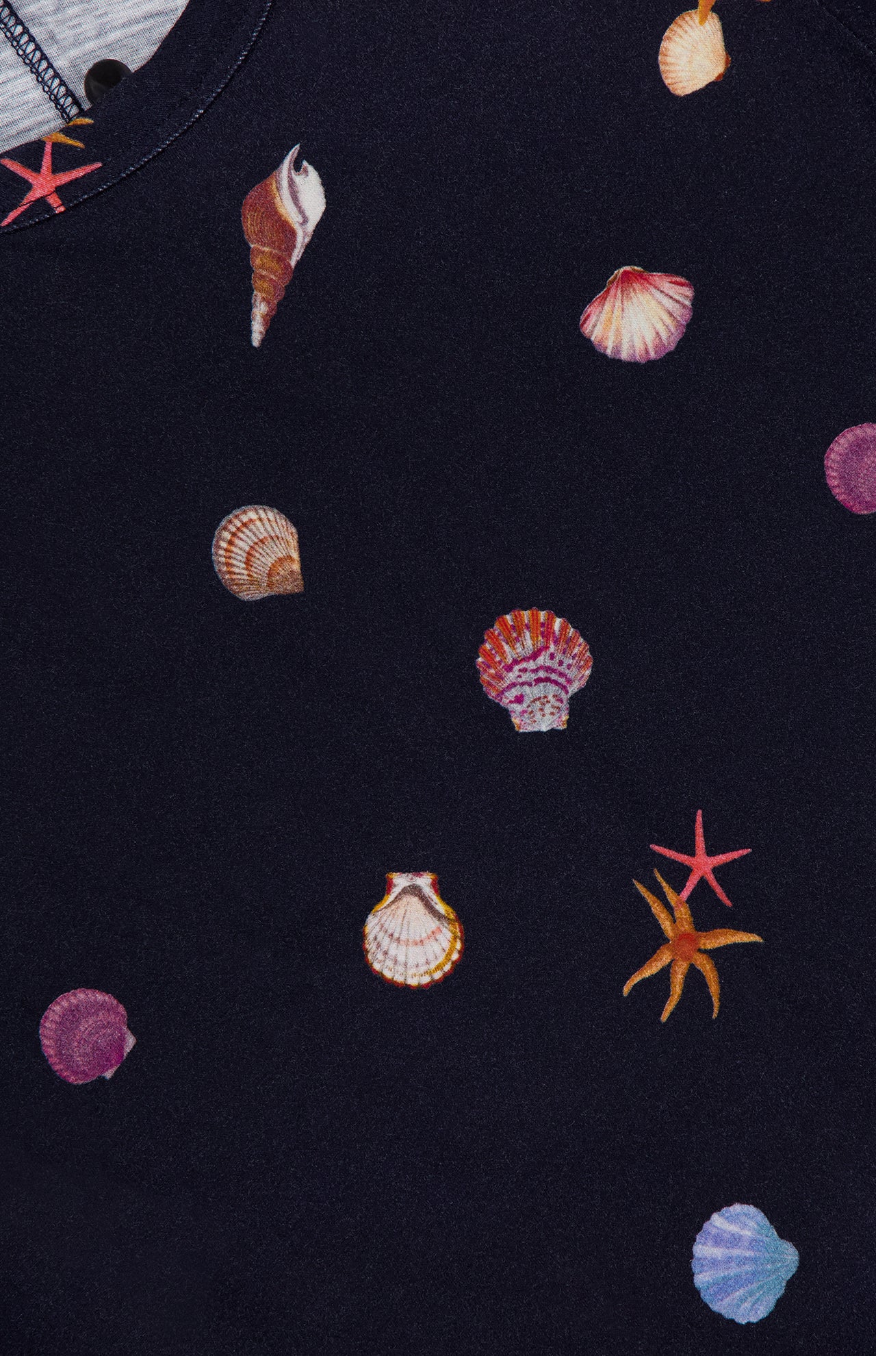売れ筋商品|||ラグアンドボーン Tシャツ レディース トップス SEASHELL TEE - Print T-shirt - offwhite Seashell Graphic Tee - Ivory Multi | rag & bone