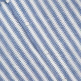 A close-up of the Capri Long Sleeve Button Front Shirt by RALPH LAUREN COLLECTION, featuring blue and white vertical stripes, white buttons, and a visible collar.