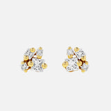 The SUZANNE KALAN 18KY Princess Diamond Cluster Stud Earrings feature clusters of sparkling diamonds set in yellow gold, displayed against a plain white background.