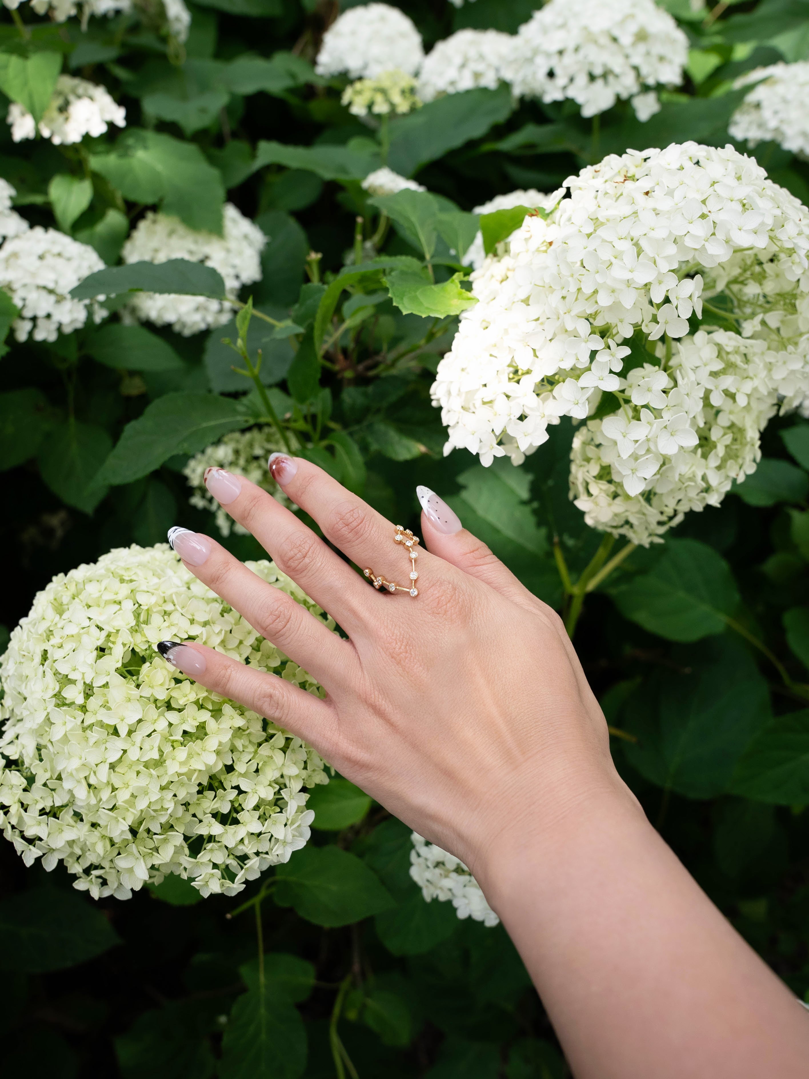 A hand with manicured nails adorned with the LOGAN HOLLOWELL Pisces Diamond Constellation Ring gently touches a cluster of white hydrangea flowers nestled among green leaves.