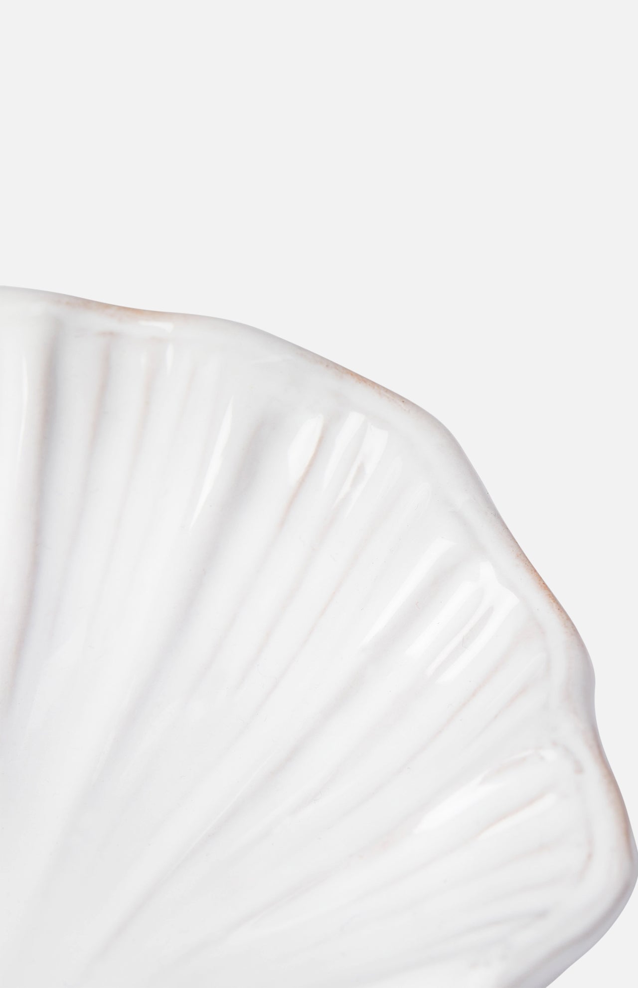 Close-up of THE CONRAN SHOP's Puglia Stoneware Shell Dish, featuring a scalloped shell-inspired edge in white—perfect for coastal decor—set against a plain light gray background.