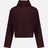 Long Sleeve Rib Crop Turtleneck Sweater