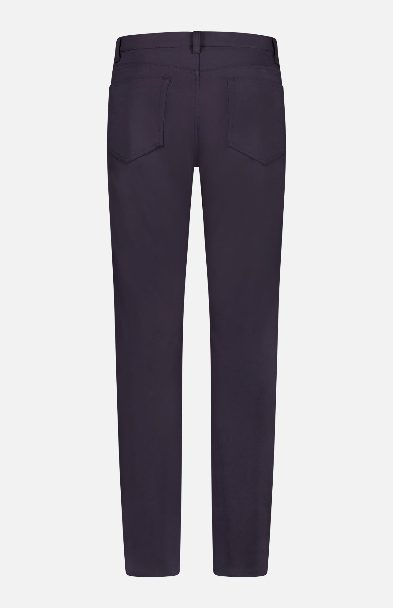 Raffi 5-Pocket Pant in Neoteric Twill (14673249960299)