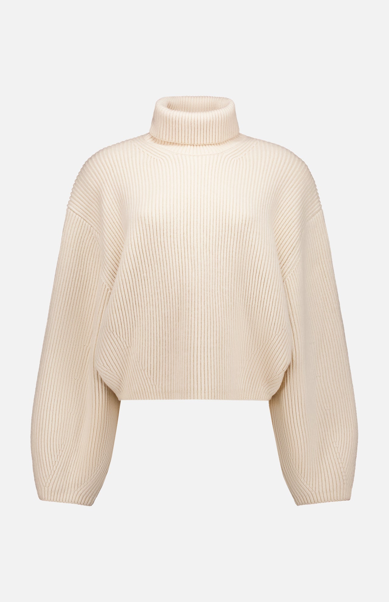 Ribbed Turtleneck Sweater (7725240287347)