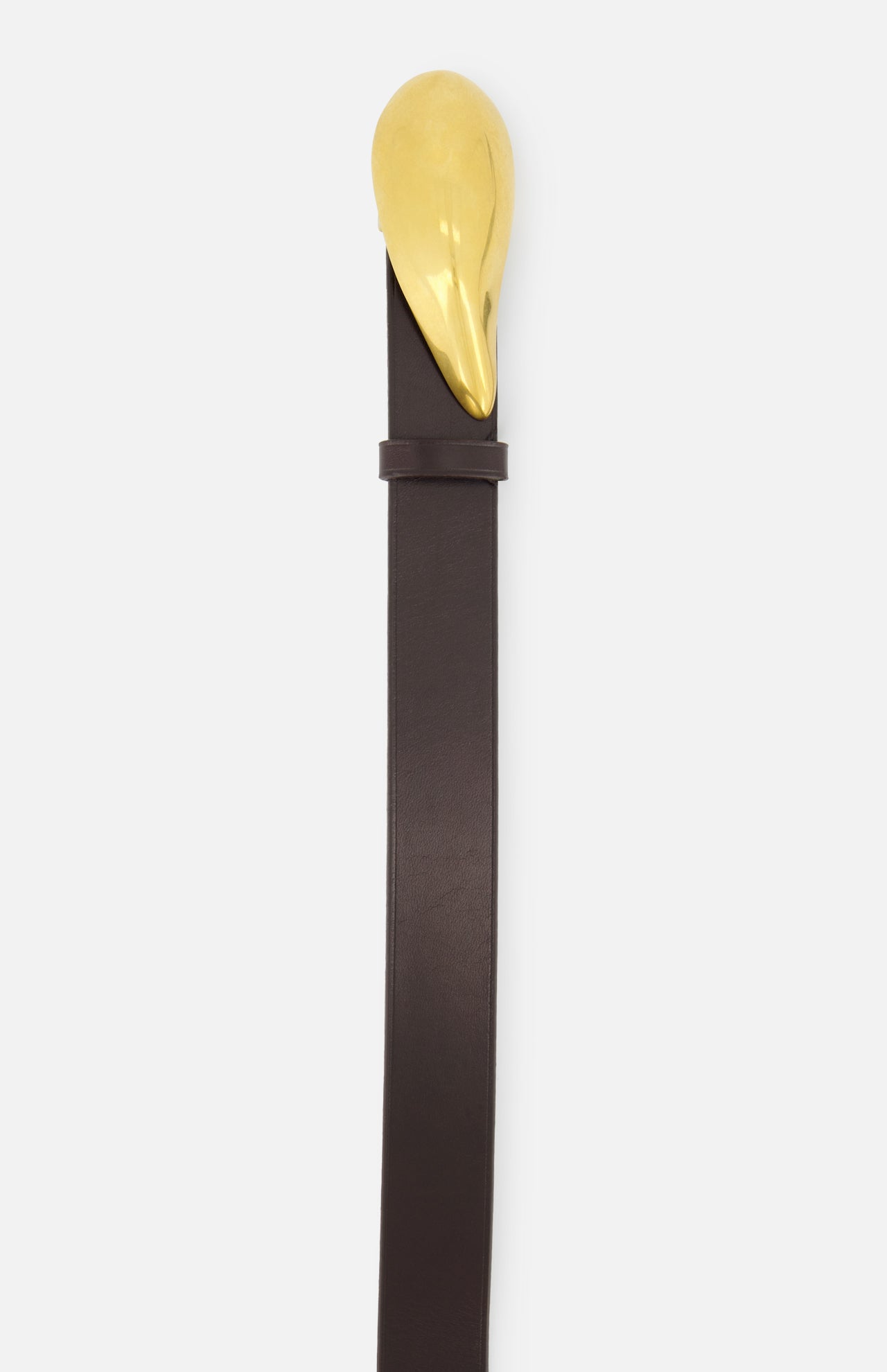 Medium Belt W/ Molded Mussel Buckle (14717861691755)
