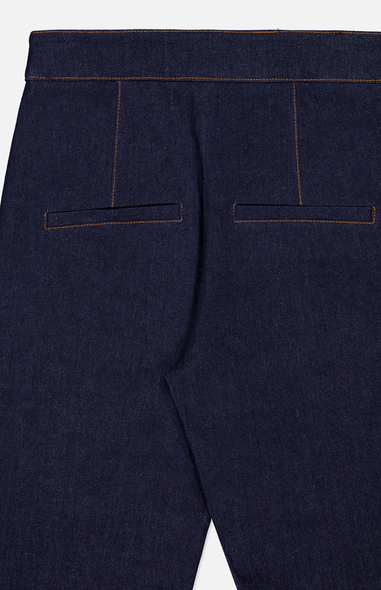 Tani Pant (14633924362603)