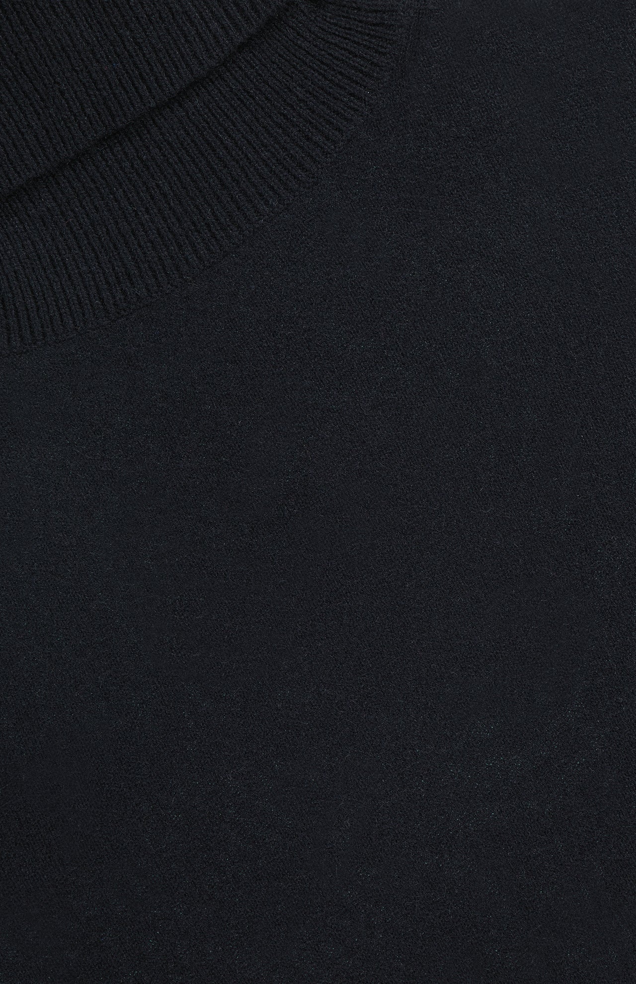 Cashmere Essential Turtleneck (7352433606771)
