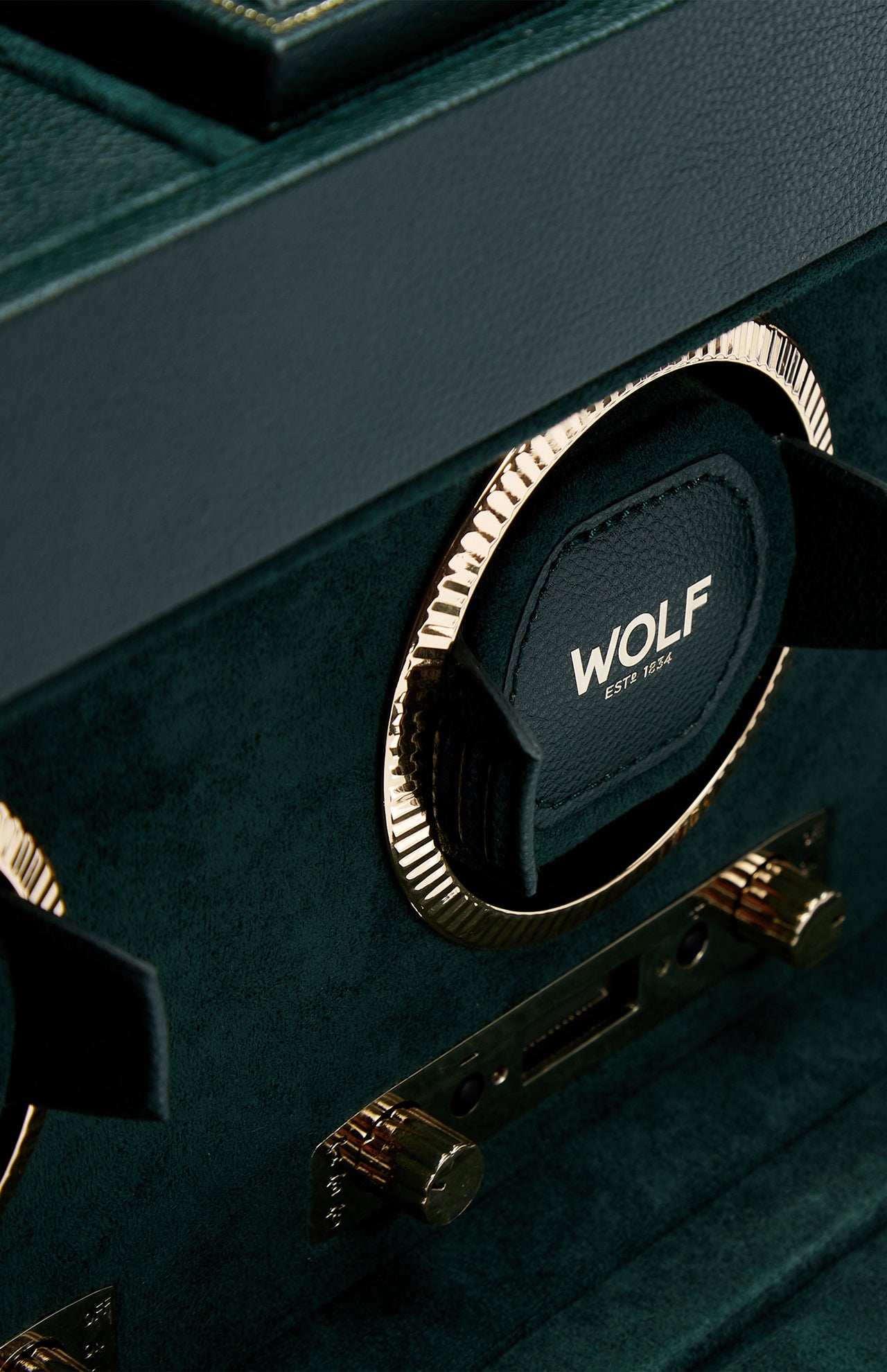 Close-up of the British Racing Triple Watch Winder by WOLF, a luxurious green watch winder with gold accents, crafted from premium vegan leather and featuring the WOLF EST. 1834 branding on one of the holders—an elegant solution for refined watch storage.