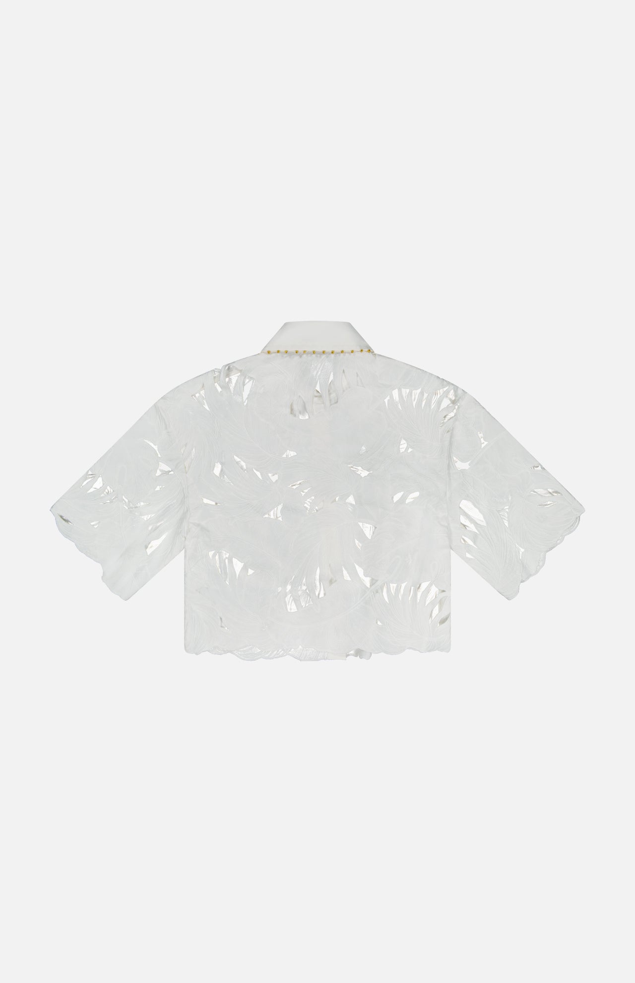 The Mahon Embroidered Crop Shirt by ZIMMERMANN is a sheer ivory cotton blouse with short sleeves, leaf-pattern embroidery, a pointed collar, gold chain detail at the neckline, and a relaxed cropped fit. Displayed on a plain white background.