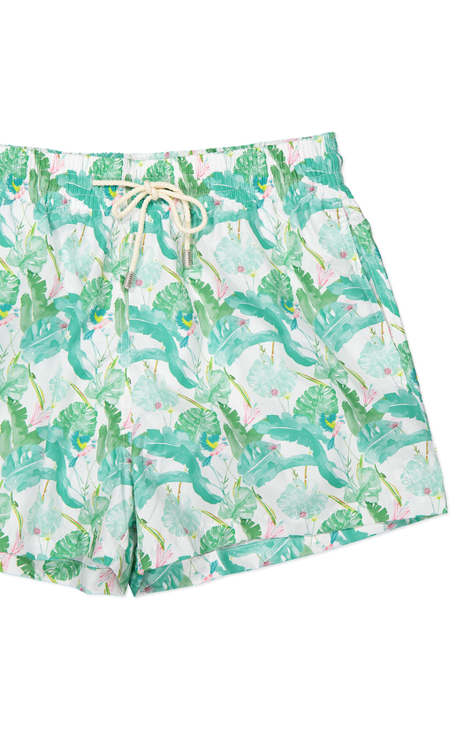 Hummingbirds Swim Shorts (6710067396723)