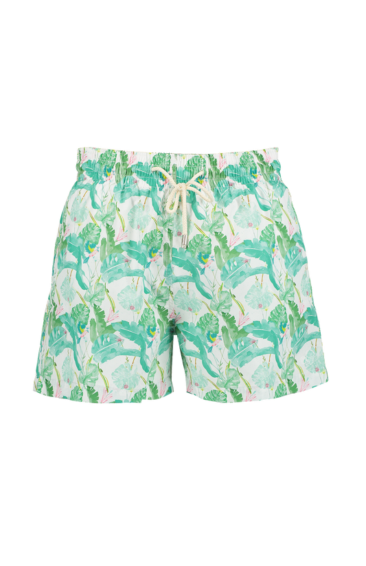 Hummingbirds Swim Shorts (6710067396723)