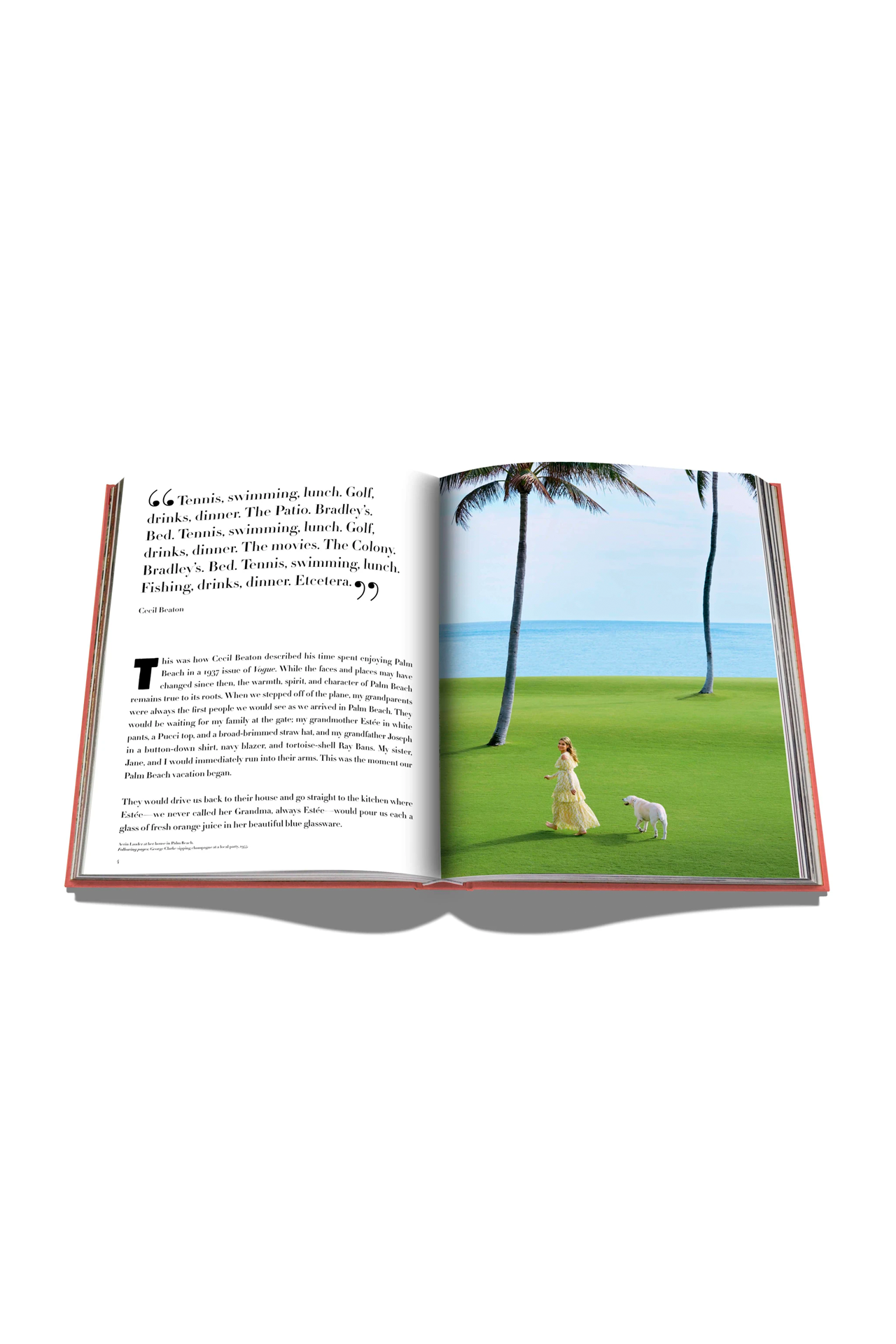 Palm Beach (4559383363699)