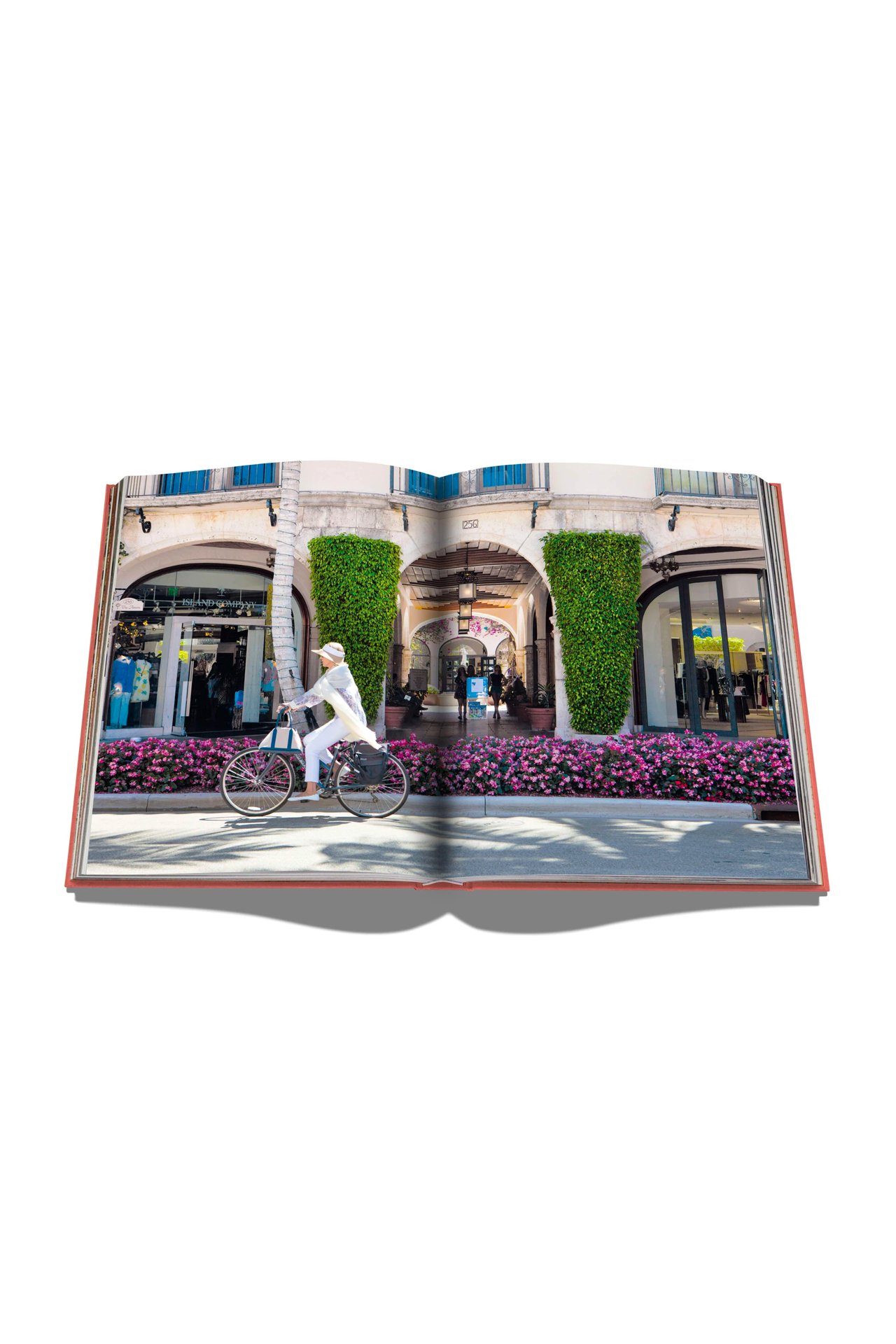 Palm Beach (4559383363699)