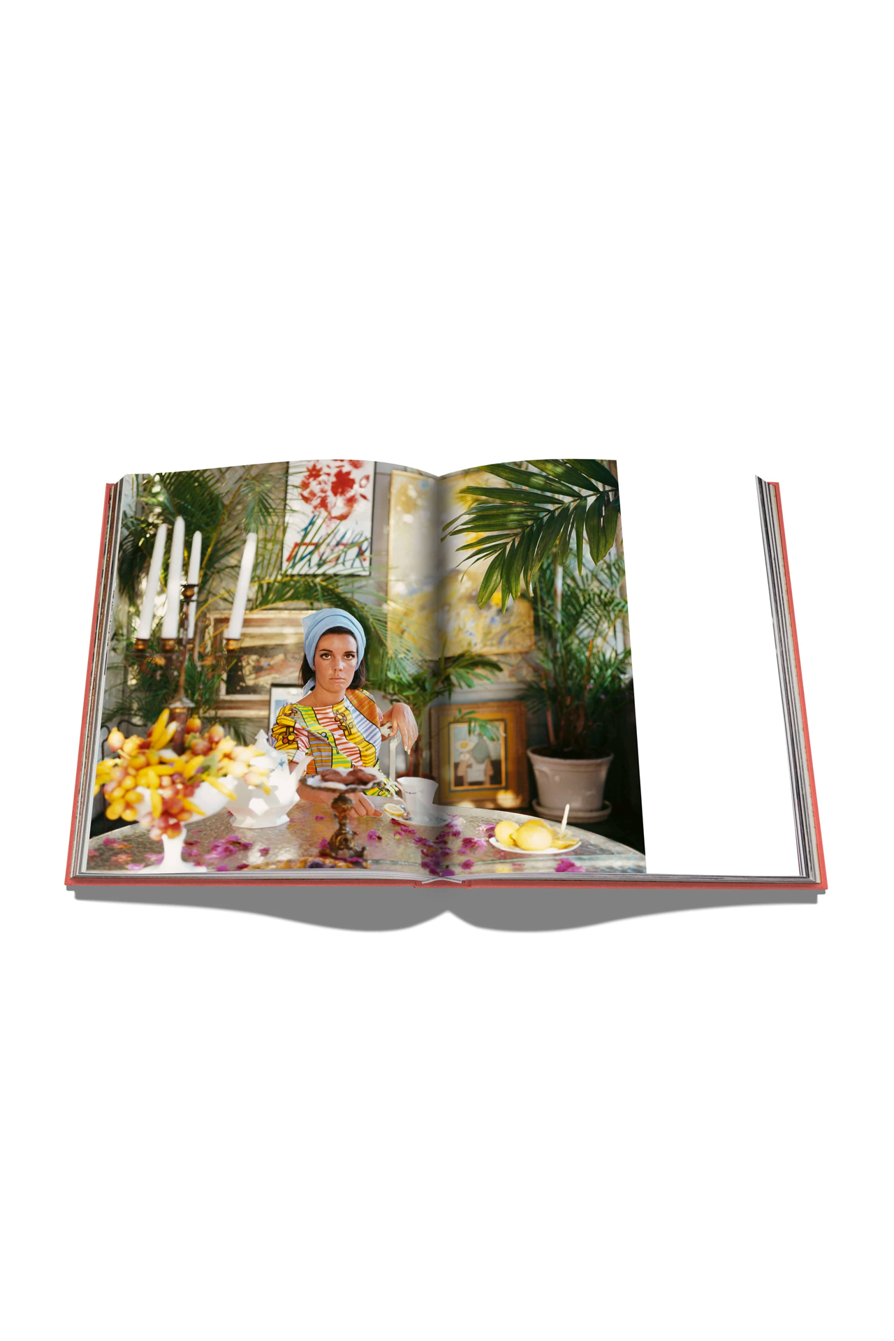 Palm Beach (4559383363699)