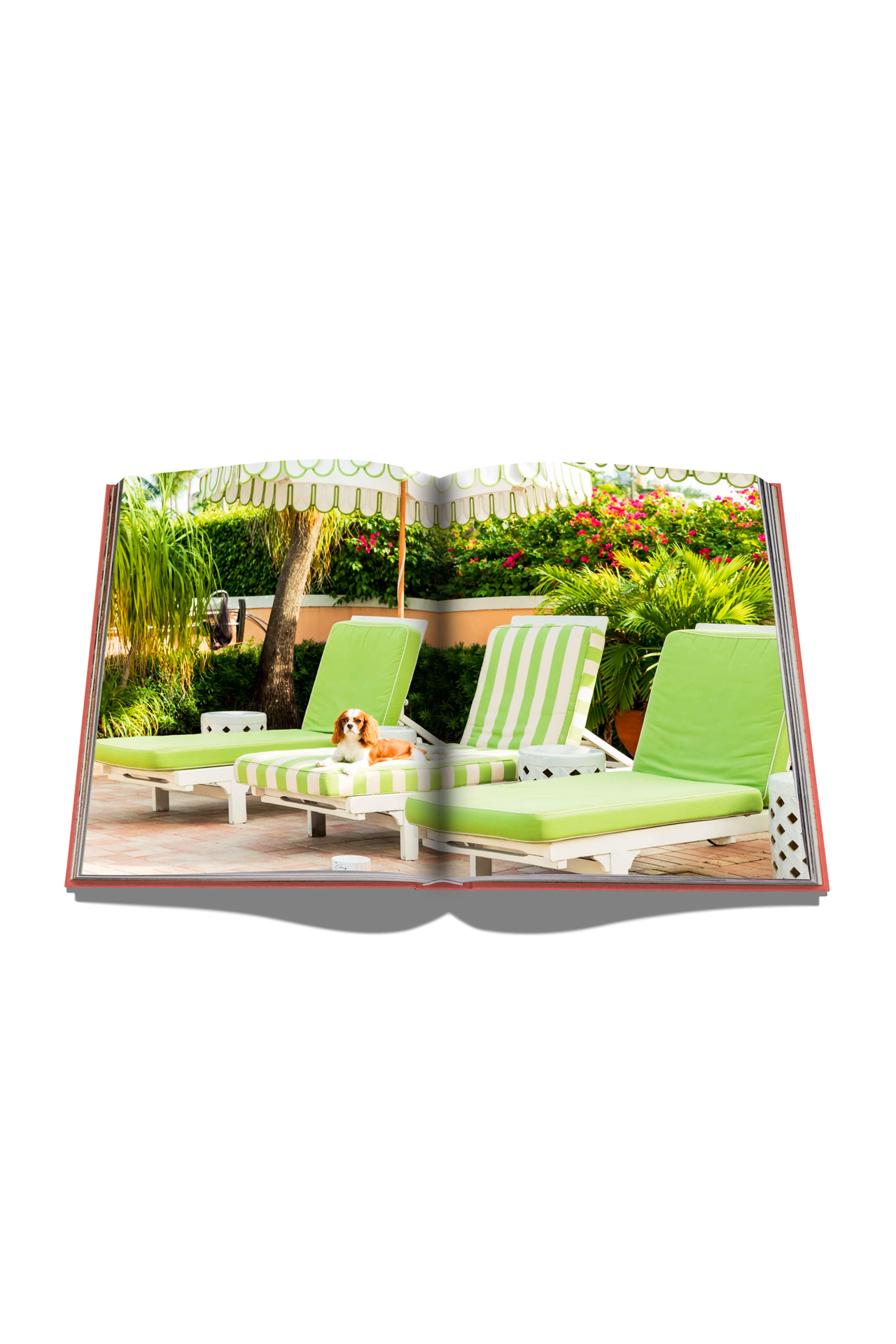 Palm Beach (4559383363699)