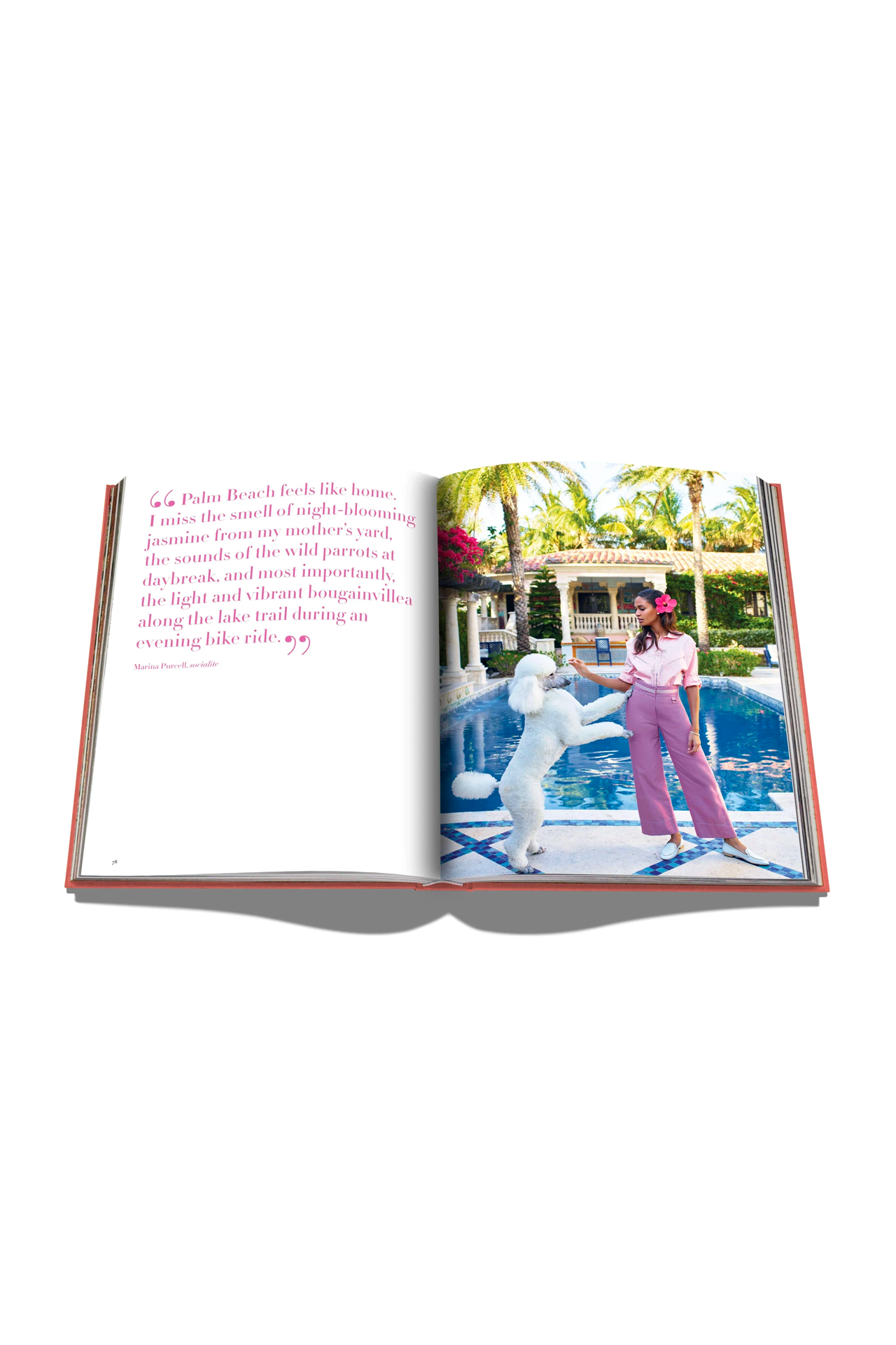 Palm Beach (4559383363699)