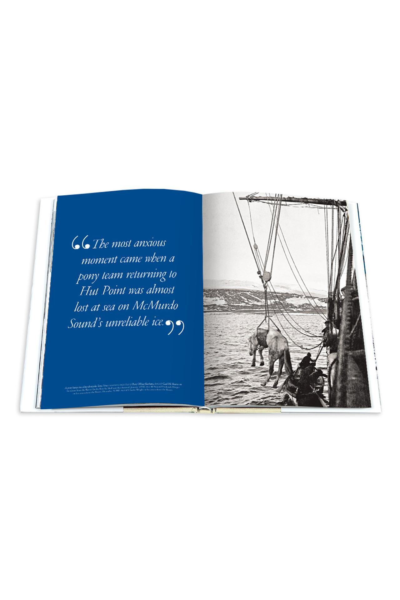 South Pole: The British Antarctic Expedition 1910 (4635765833843)