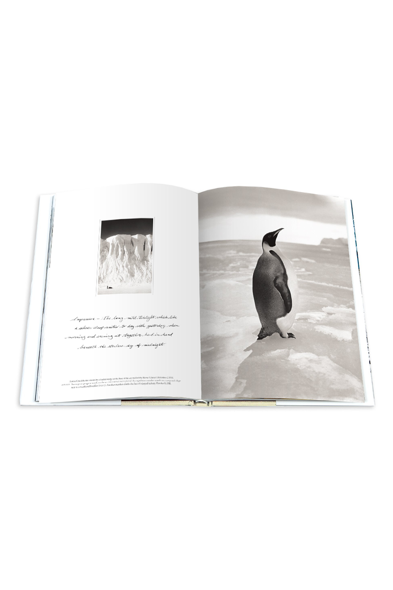South Pole: The British Antarctic Expedition 1910 (4635765833843)