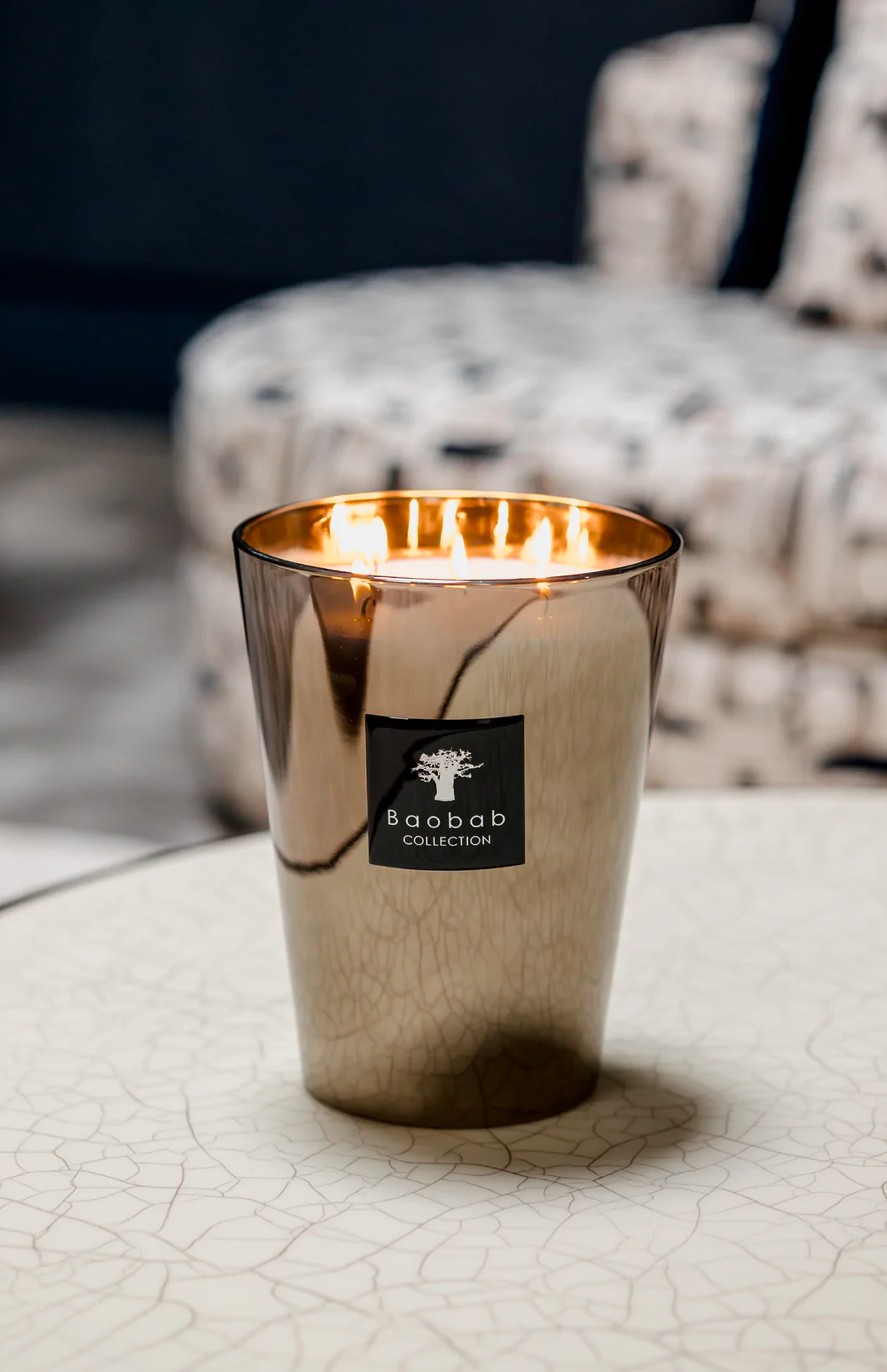 Baobab Candle Les Exclusives Platinum Editorial Image (7063259807859)