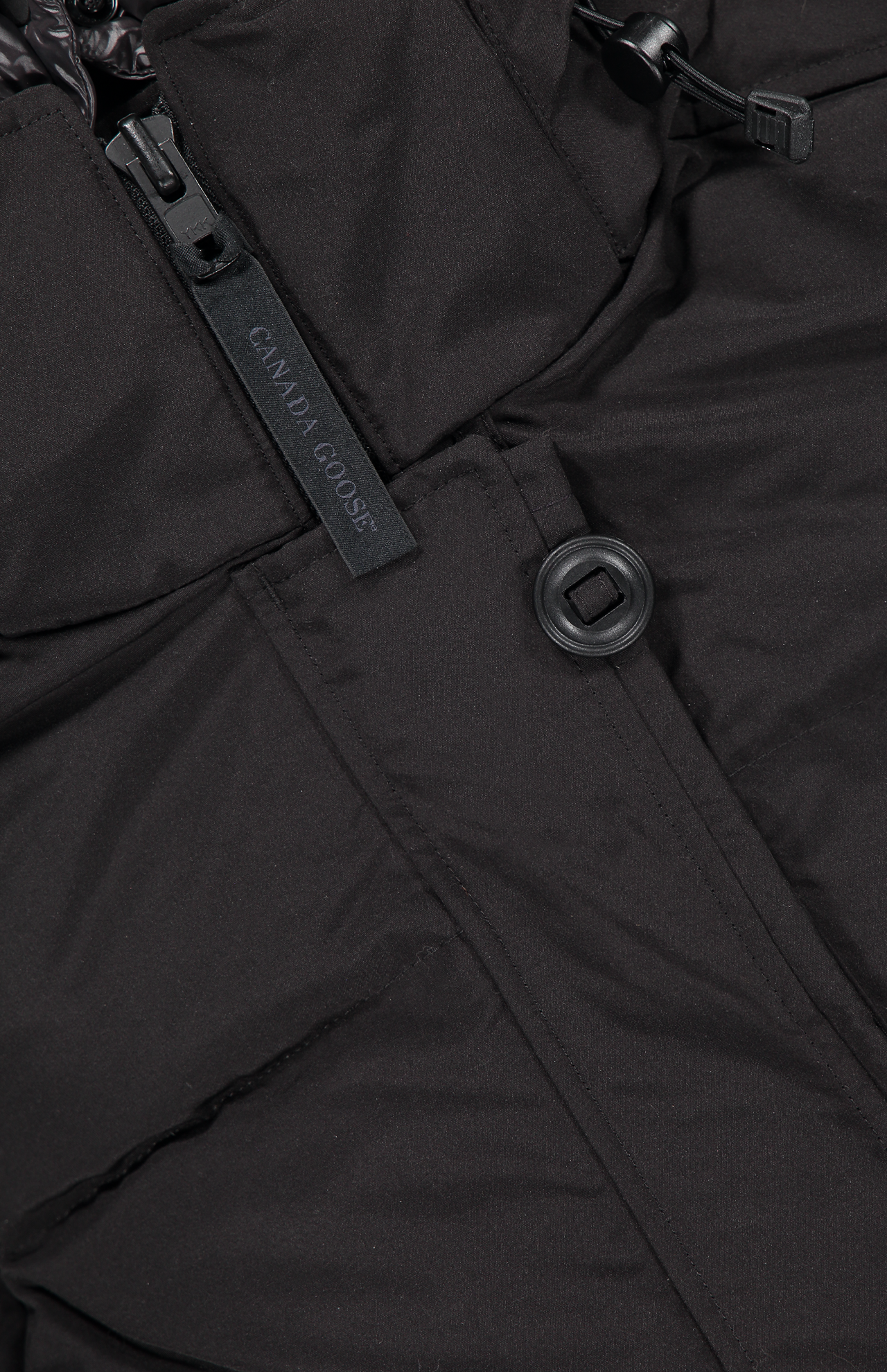 Aldridge 2024 canada goose