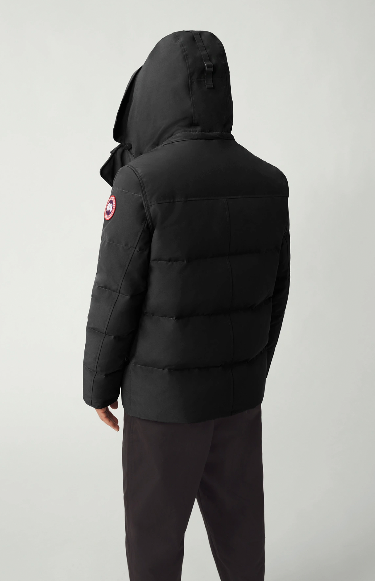 Canada goose 2025 carson black