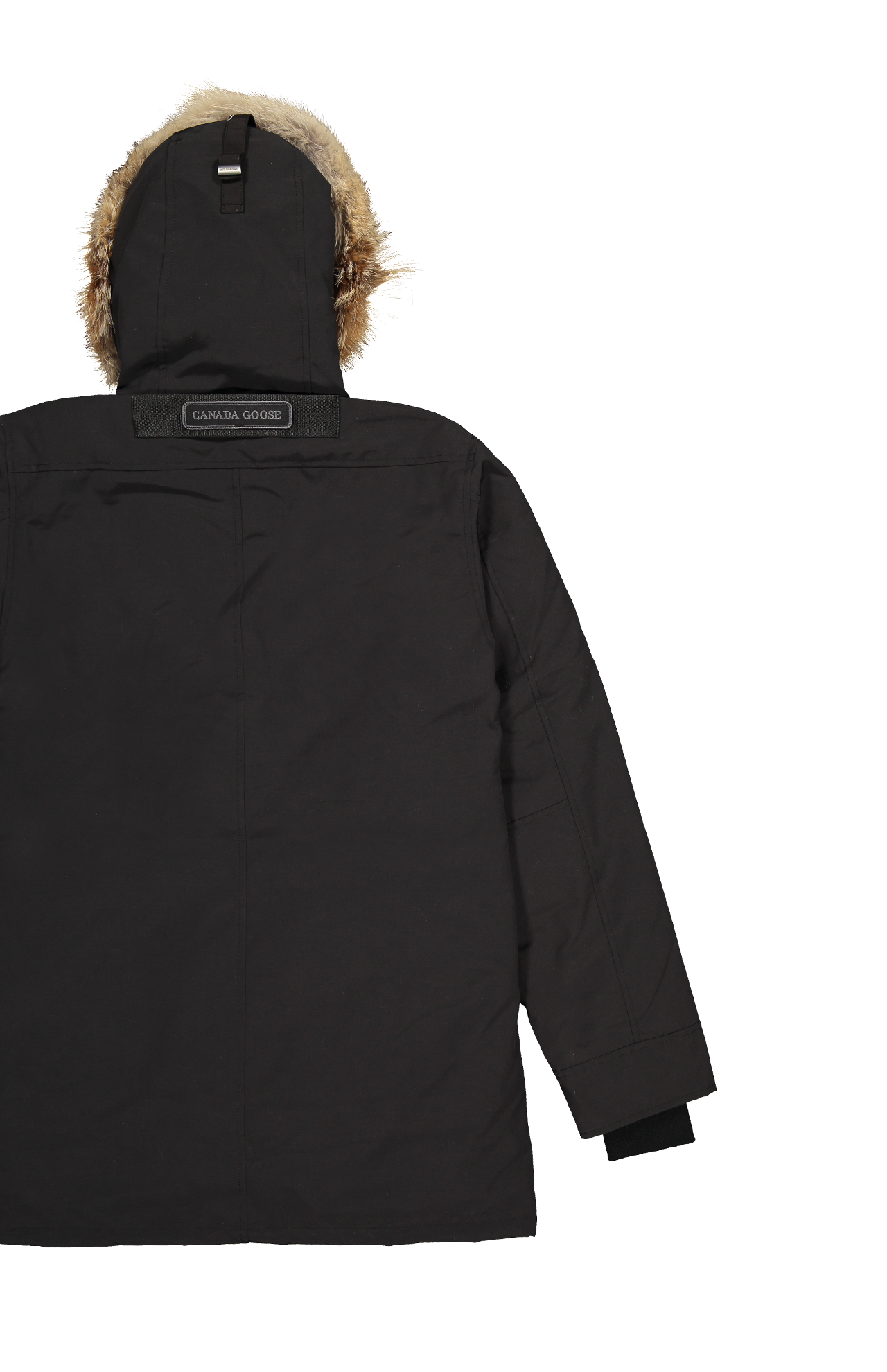 Canada 2025 goose 3426