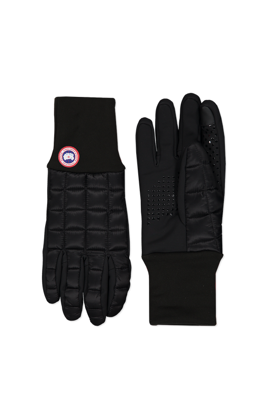 Northern Glove Liner (6541504970867)