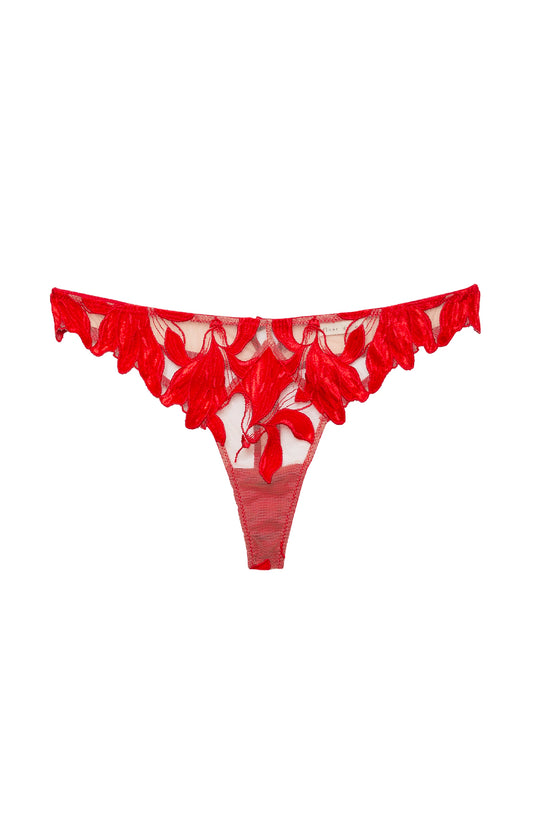 Velvet Lily Embroidery Thong (7025498128499)