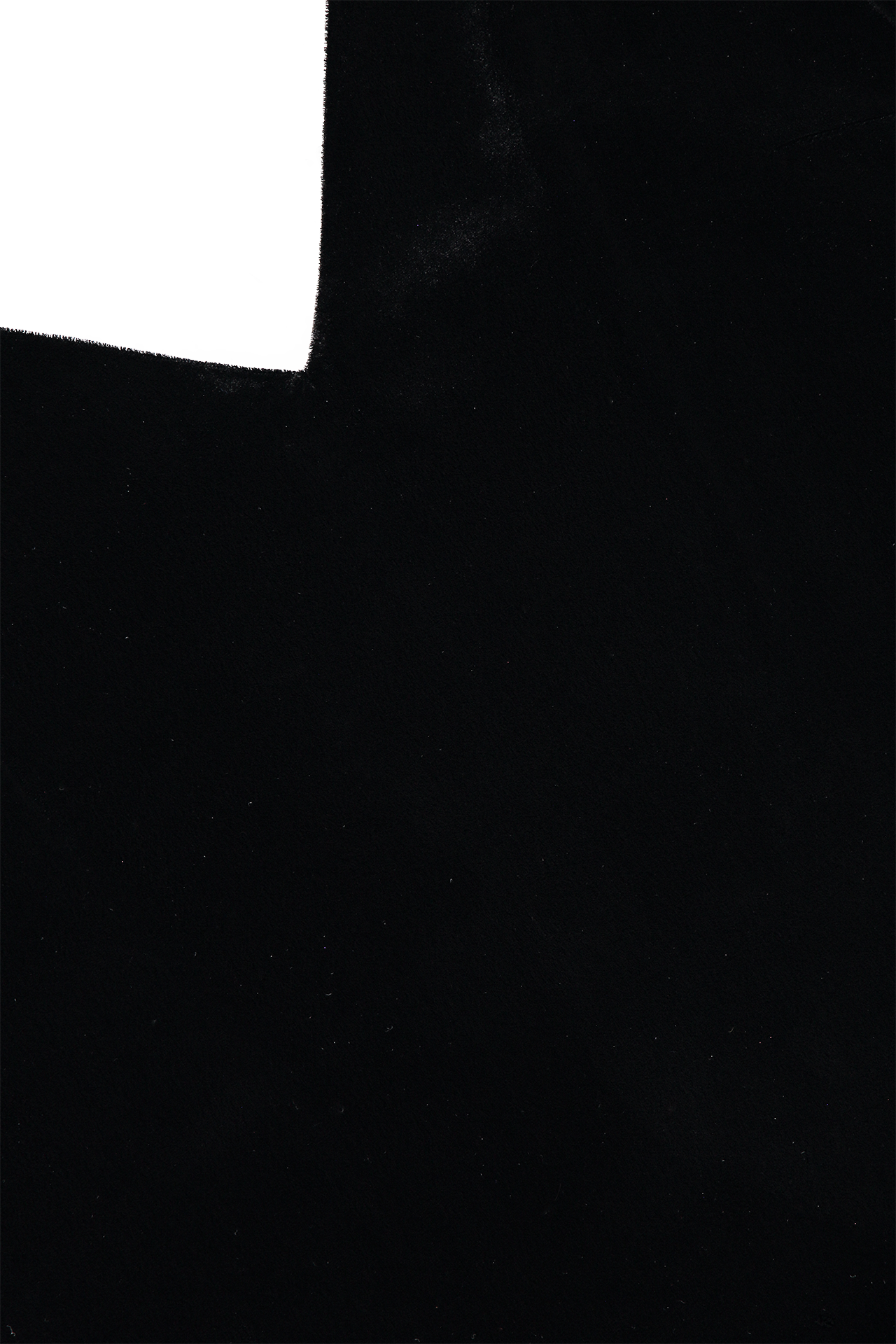 Lagence Gabriella V-Neck Cami Black Collar Detail Image (6681262981235)