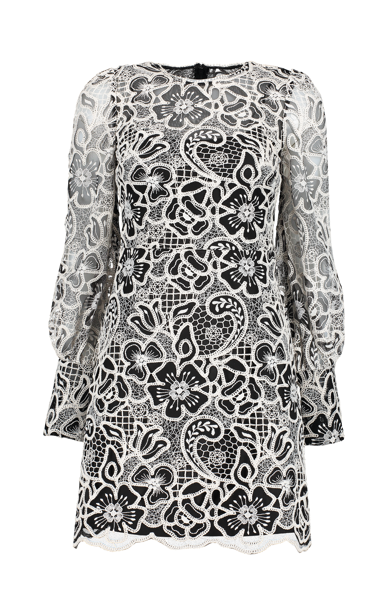 Long Sleeve Short Dress (7016875163763)