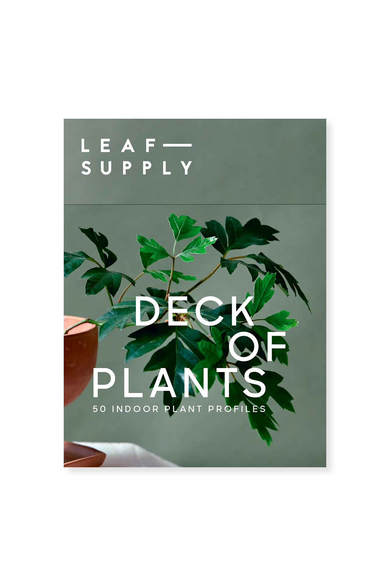 Penguin Random House Leaf Supply Deck of Plants Packaging Image (6800981164147)
