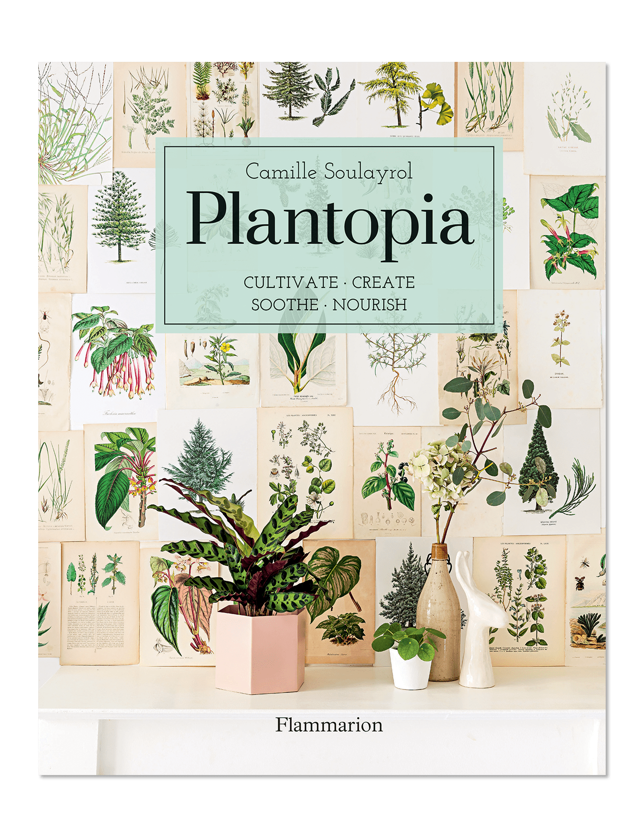Plantopia by FLAMMARION showcases botanical illustrations and potted houseplants on its cover, offering perfect inspiration for DIY plant projects.