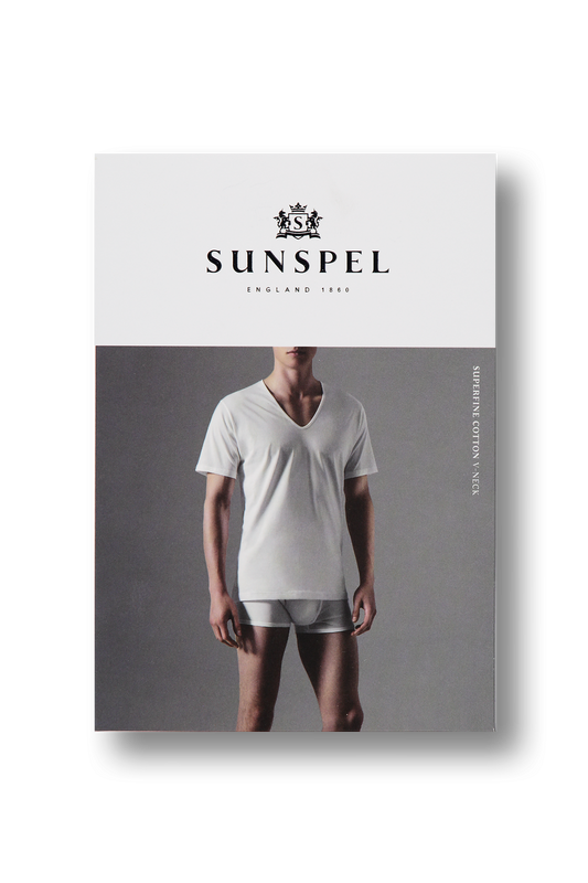 Short Sleeve V-Neck Tee (4584723054707)