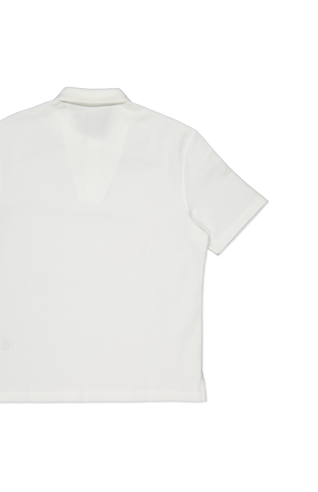 Pure Cotton Bicolored Polo (6762604626035)